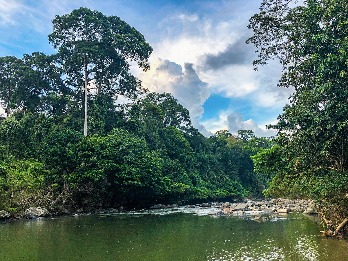 Arthur (Alaska, USA)