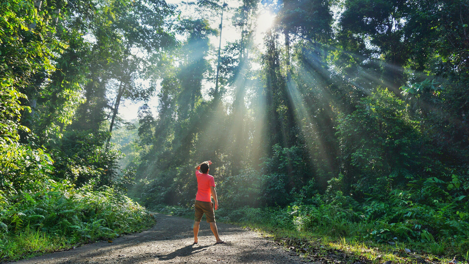 Hannah F  (Australia)